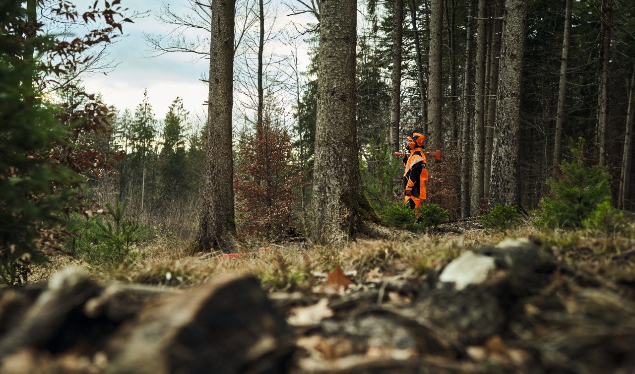 Professionista del verde vestito con dispositivi di sicurezza cammina in un bosco