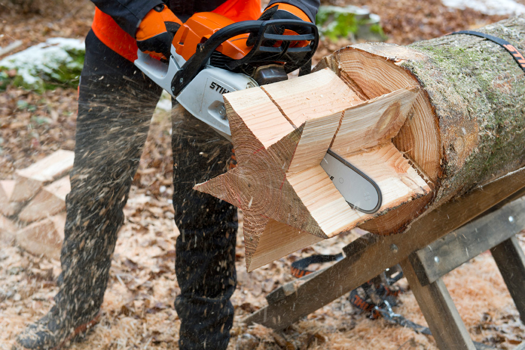 La stella viene tagliata dal tronco con la motosega STIHL MS 261 C-M
