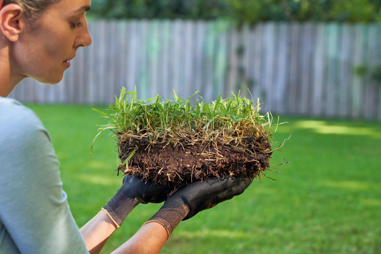 Donna che tiene in mano un pezzo di prato da arieggiare e indossa guanti da lavoro STIHL FUNCTION SENSOTOUCH.