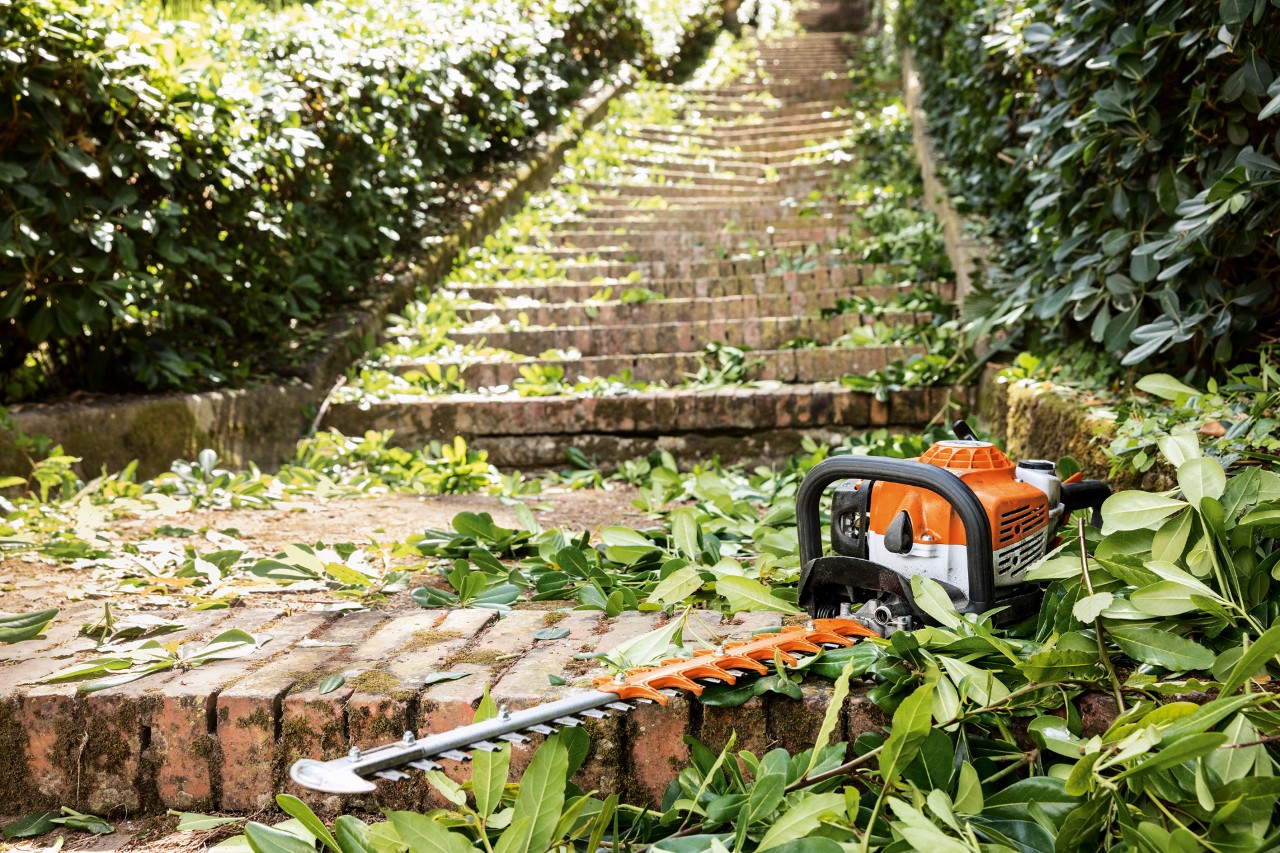  Tosasiepi a benzina STIHL HS 82 T appoggiato su una scala tra le foglie verdi prima della manutenzione