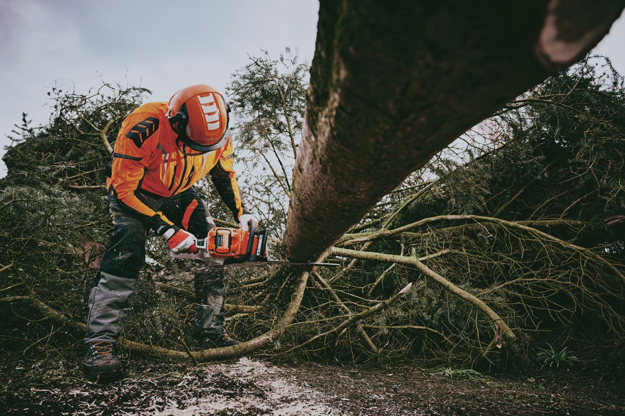 Un addetto ai lavori forestali con DPI forestali e protezione antitaglio classe 1 srama un tronco d'albero con la motosega a batteria STIHL MSA 300