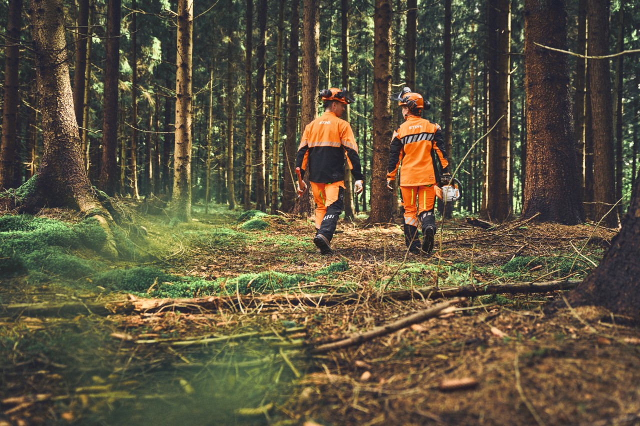 Vista posteriore di addetti ai lavori forestali con indumenti protettivi STIHL che offrono una buona libertà di movimento