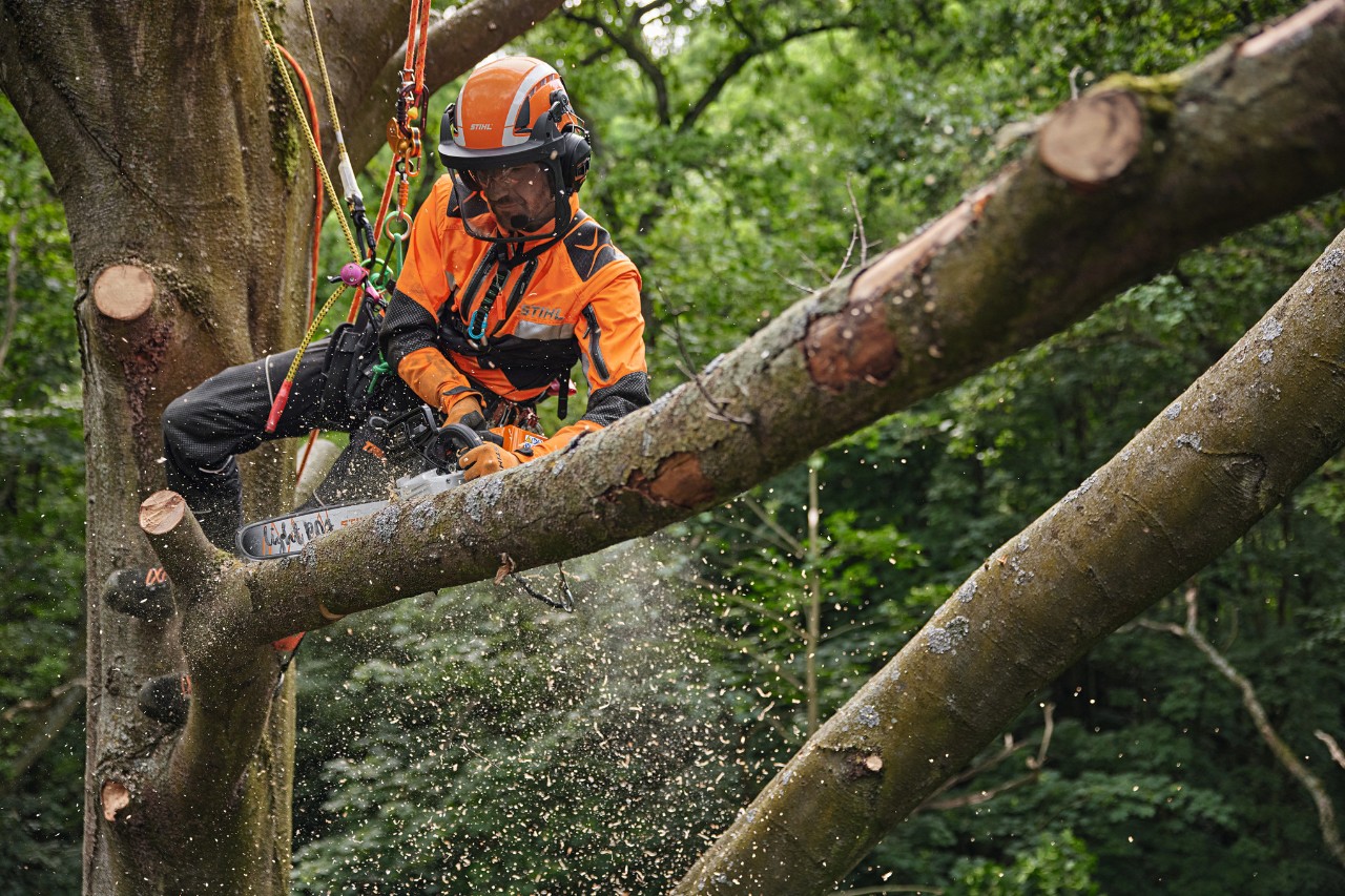 Un arborista al lavoro con la motosega a batteria STIHL MSA 220 TC-O in cima all'albero che indossa dispositivi di protezione individuale per il settore forestale