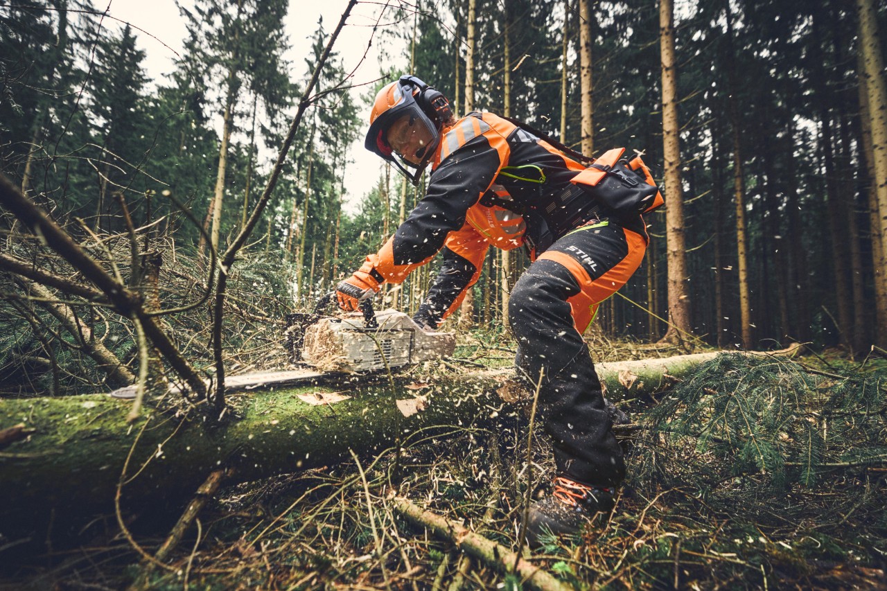 Un operaio forestale srama con la motosega a batteria STIHL MSA 300 e DPI forestali completi
